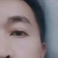 探探大熊猫