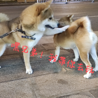 滔哥娱乐