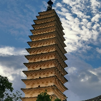 隆冬强
