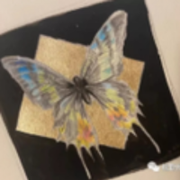 无事读书闲来种花