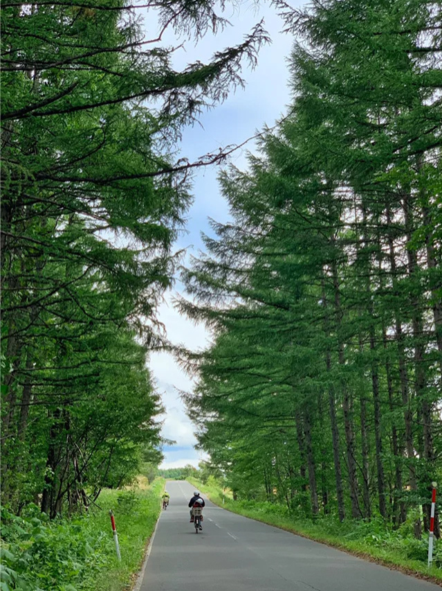 北海道小众亲子游❤️骑行美瑛超广角之路