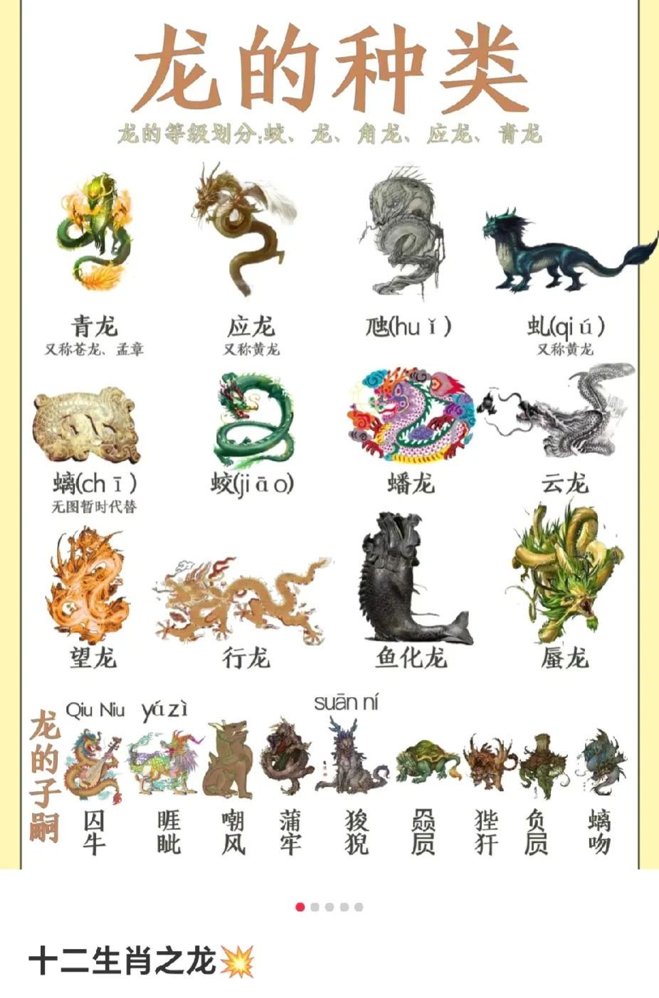 龙的种类，四大龙🐉  你知道哪些呢！