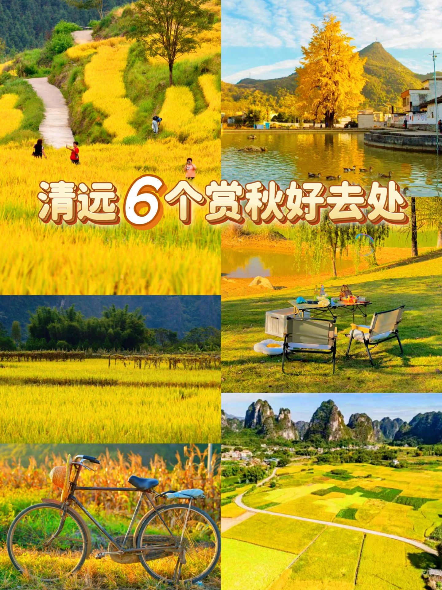 清远6个赏秋好去处|来自大自然的黄金画作