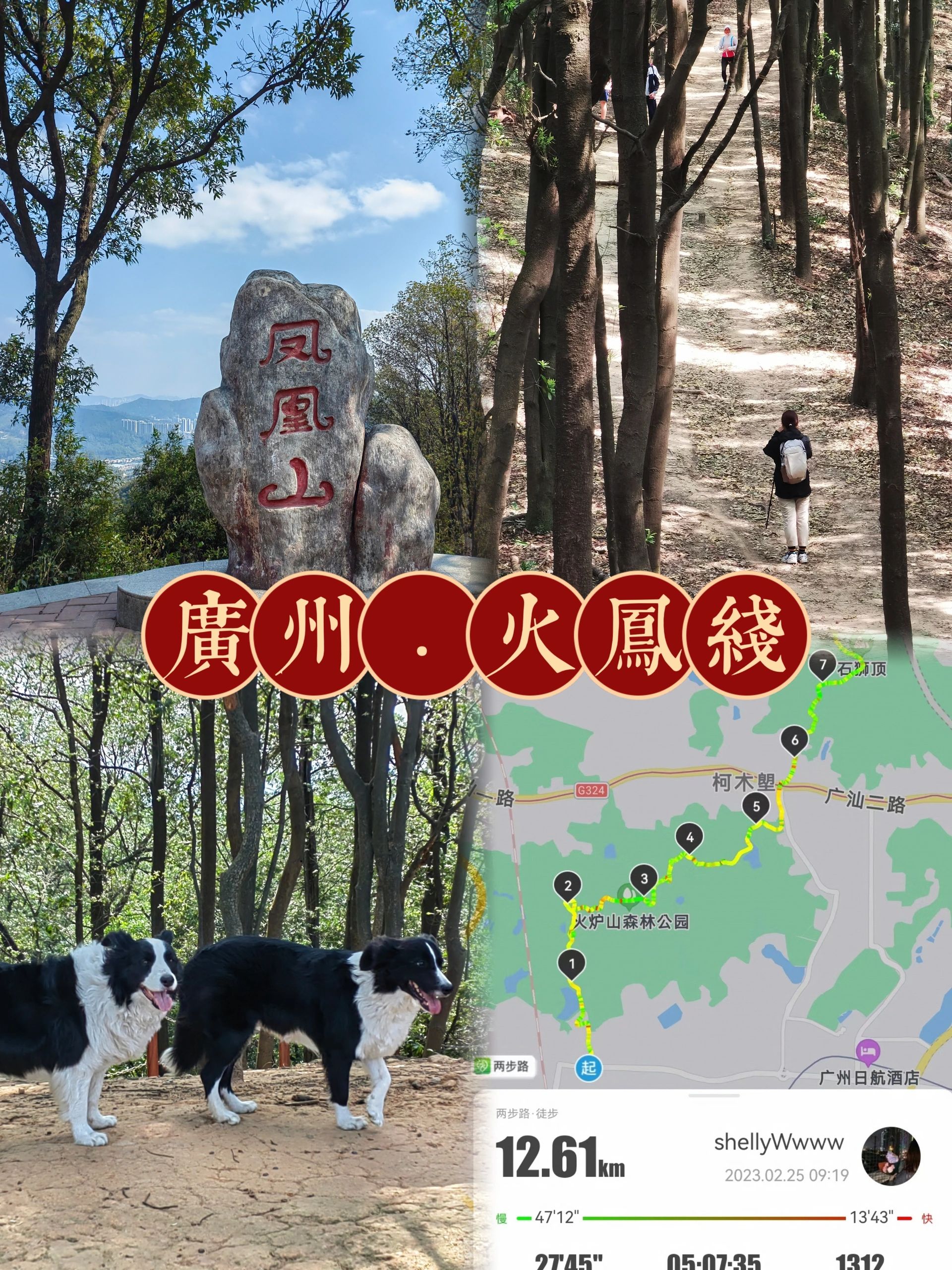 ⛰️向山行4.0｜广州火凤线12km徒步