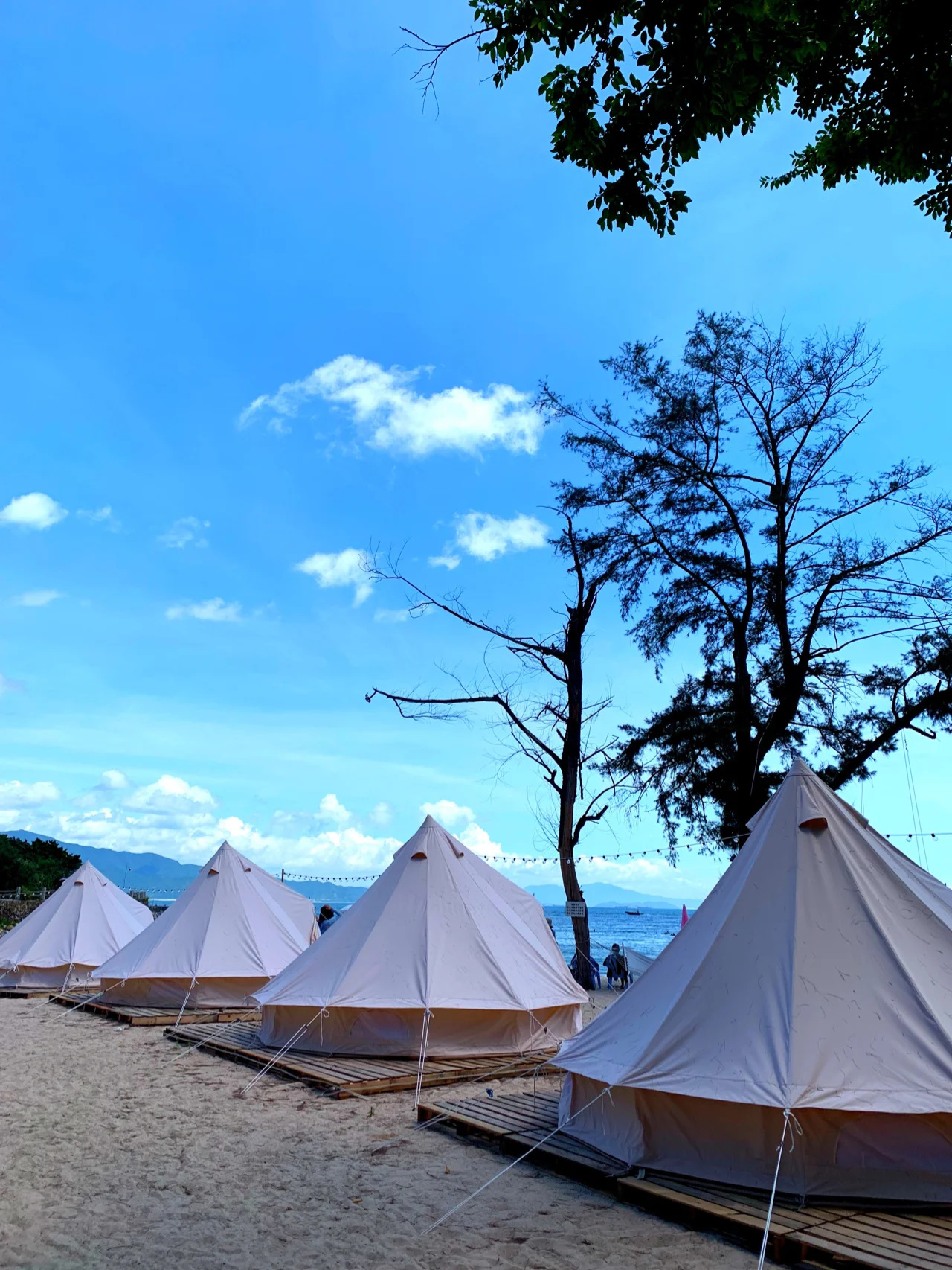 超详细鹿嘴山庄攻略！杨梅坑海边亲子游