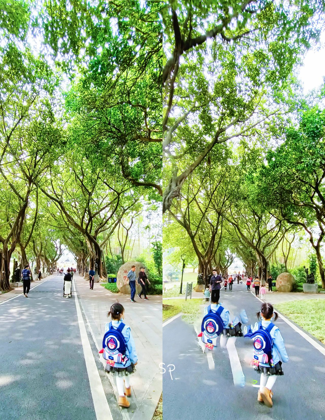 广州雕塑公园🌸溜娃🌸周末露营野餐