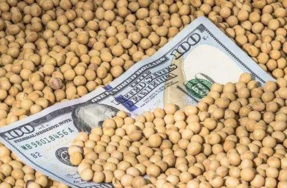 中美这两个互动值得关注，两国关系非常的微妙！其一：据美国财政部公布的消息显示，去