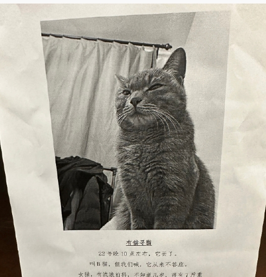 大家给猫取名字还是上点心吧[允悲]
咪咪：这家我是一天都不想待了～