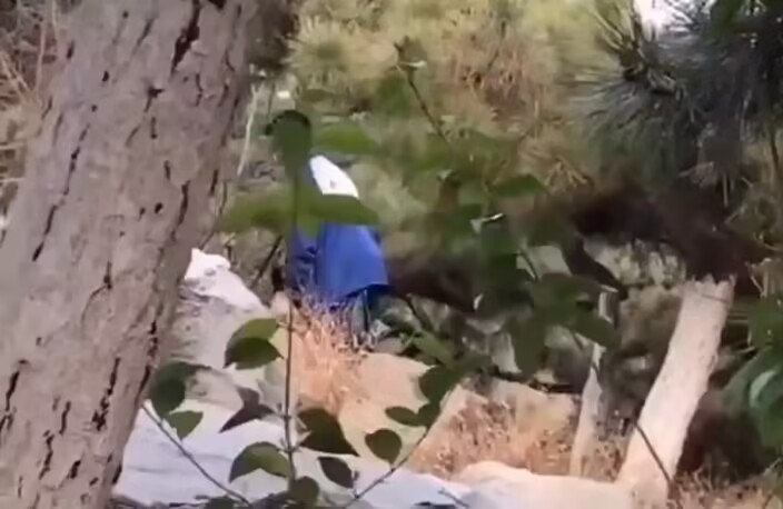 数学老师和课代表在小树林里被偷拍

讲题目可以理解

一个坐着，一个站着，又怎么