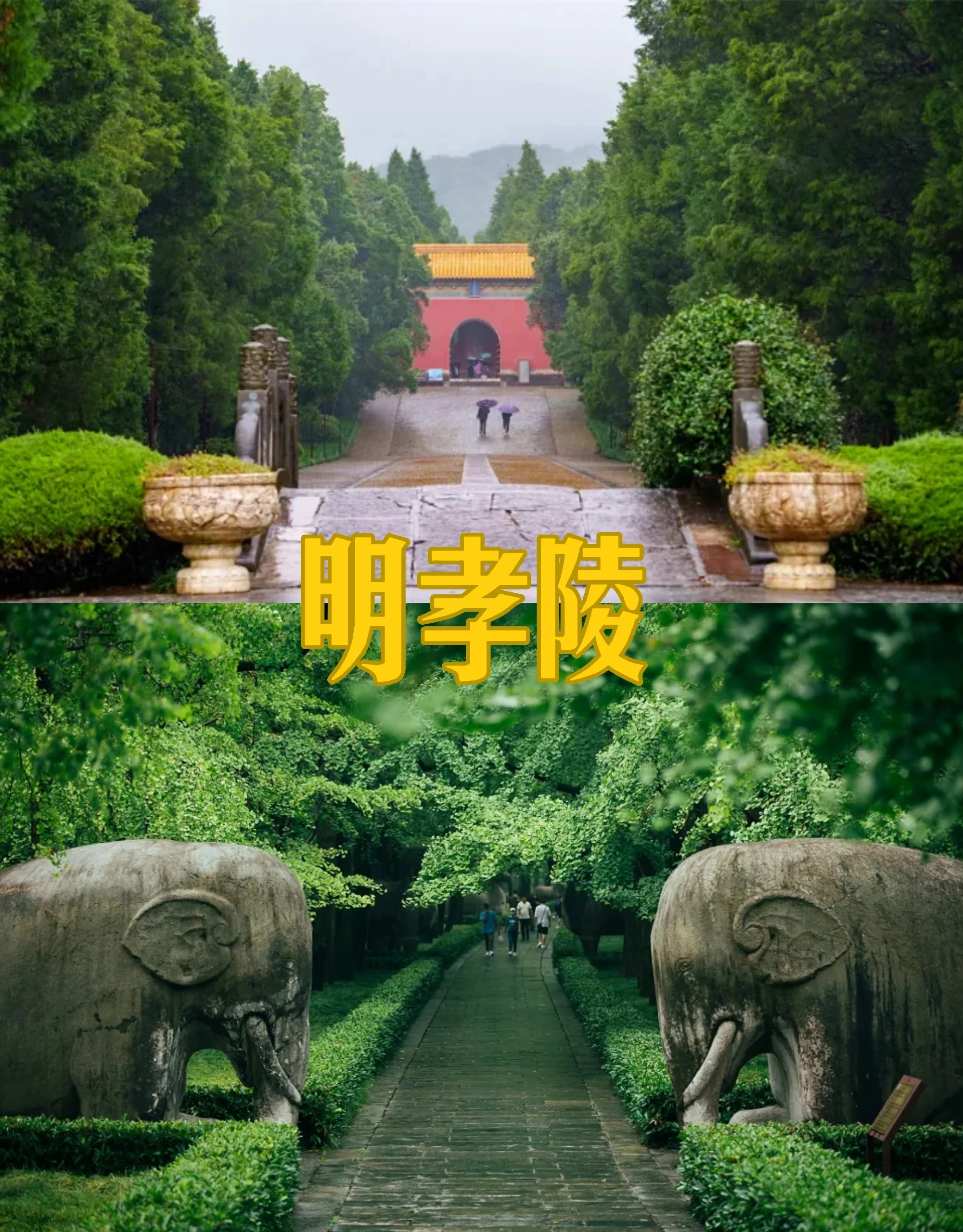 🐉南京一日游（极限版）