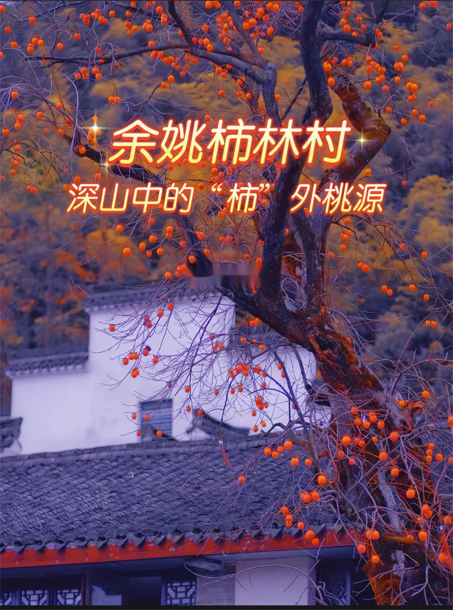 余姚柿林村，四明山深处的赏秋秘境