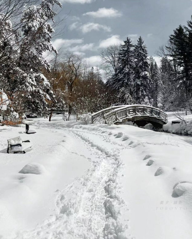 雪景！！绝美美美美！！！