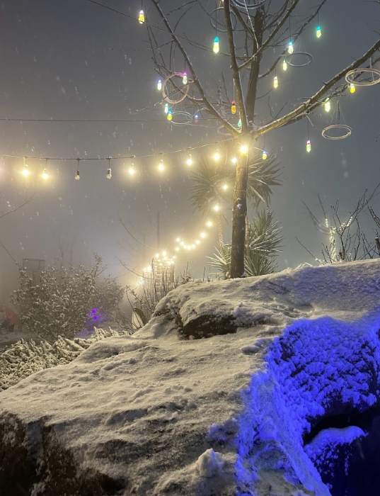 山中赏雪虽好，不及掌灯踏雪更妙。龙泉山大雪。