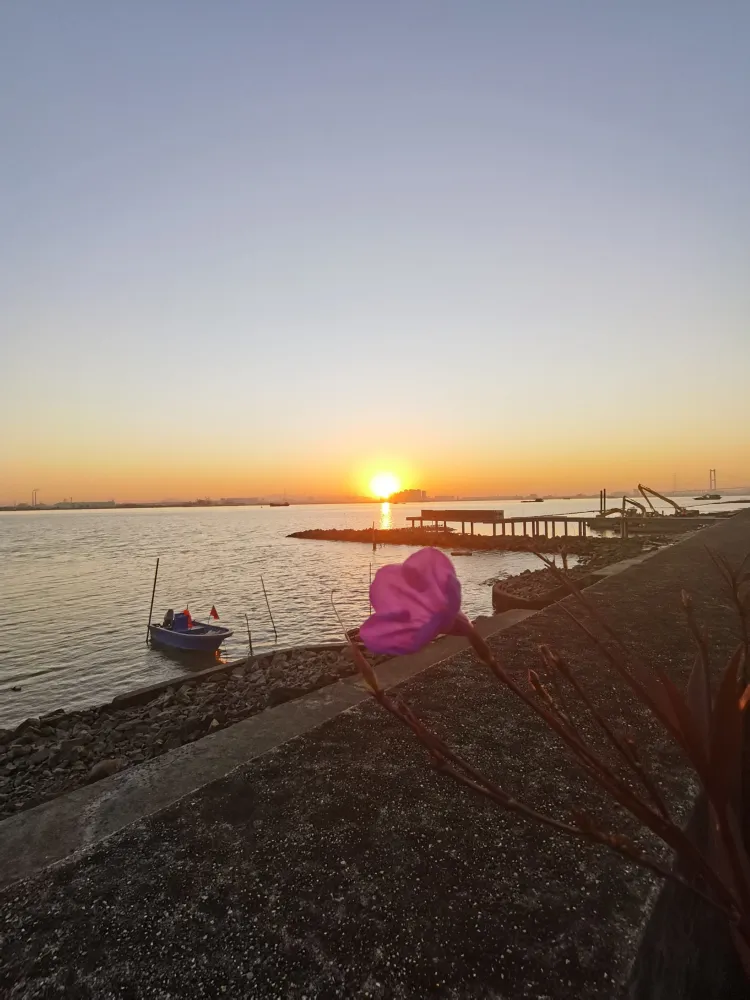 番禺海鸥岛露营游玩攻略