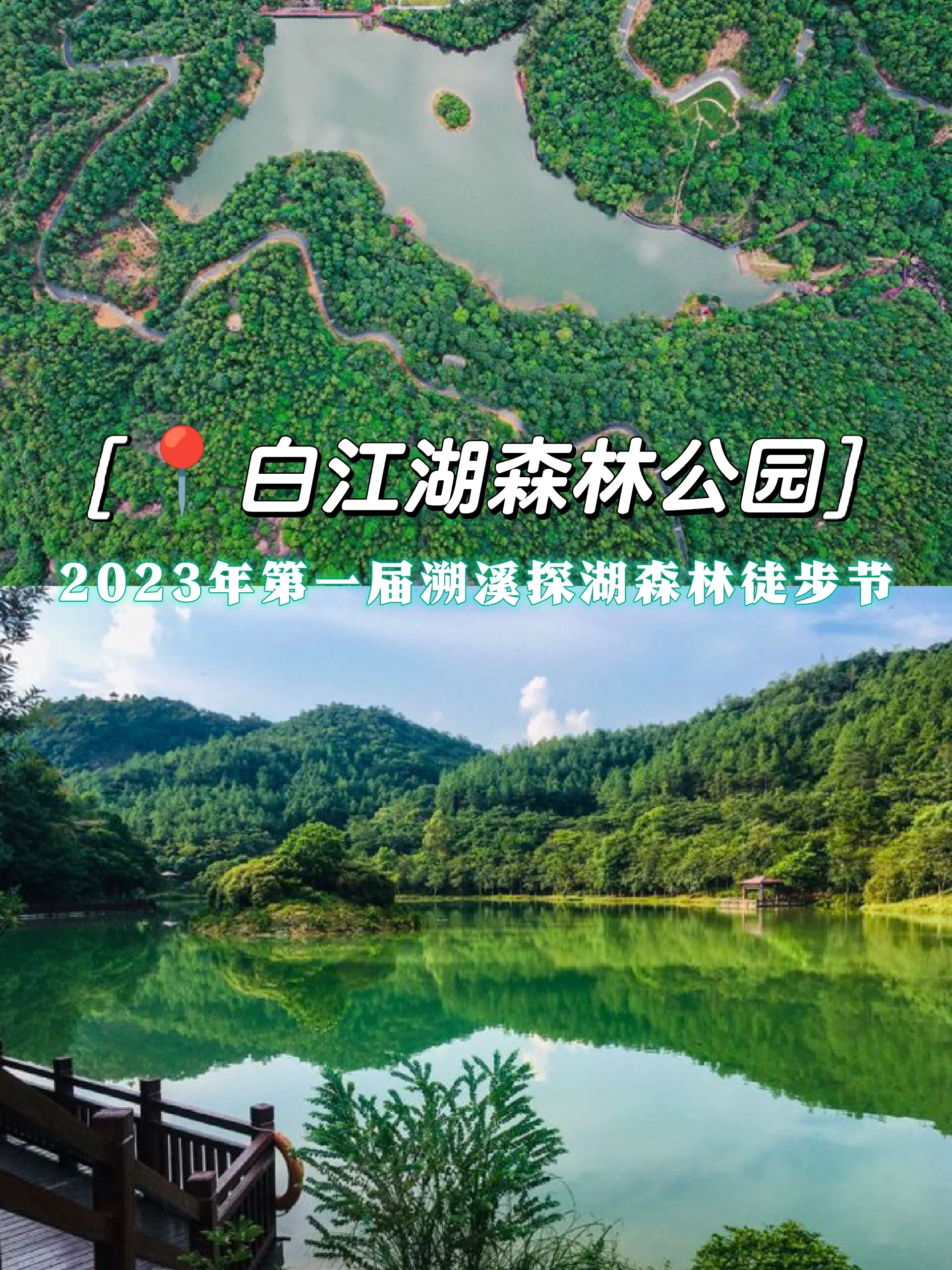 抓住夏天的尾巴来一场森林溯溪徒步吧‼️
