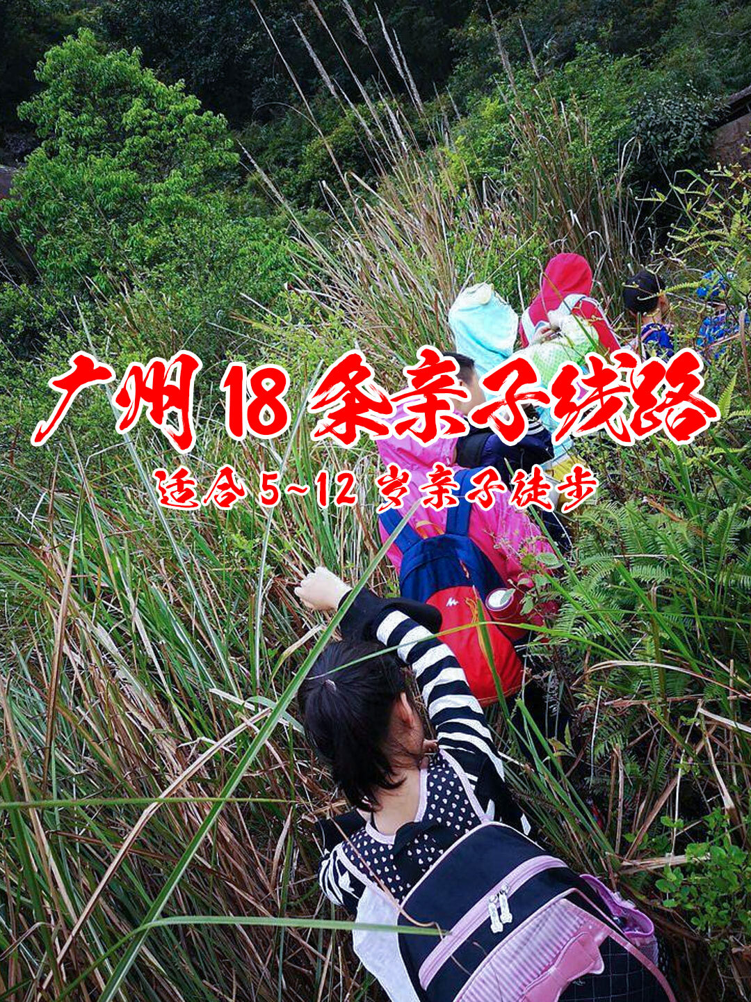 广州18条亲子线路丨适合5-12岁!