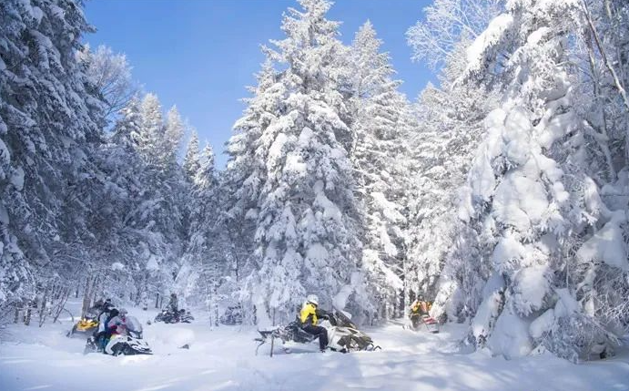 延边的冬季藏着不少令人心驰神往的赏雪打卡地，收藏这份最新出炉的赏雪攻略，去看看冬
