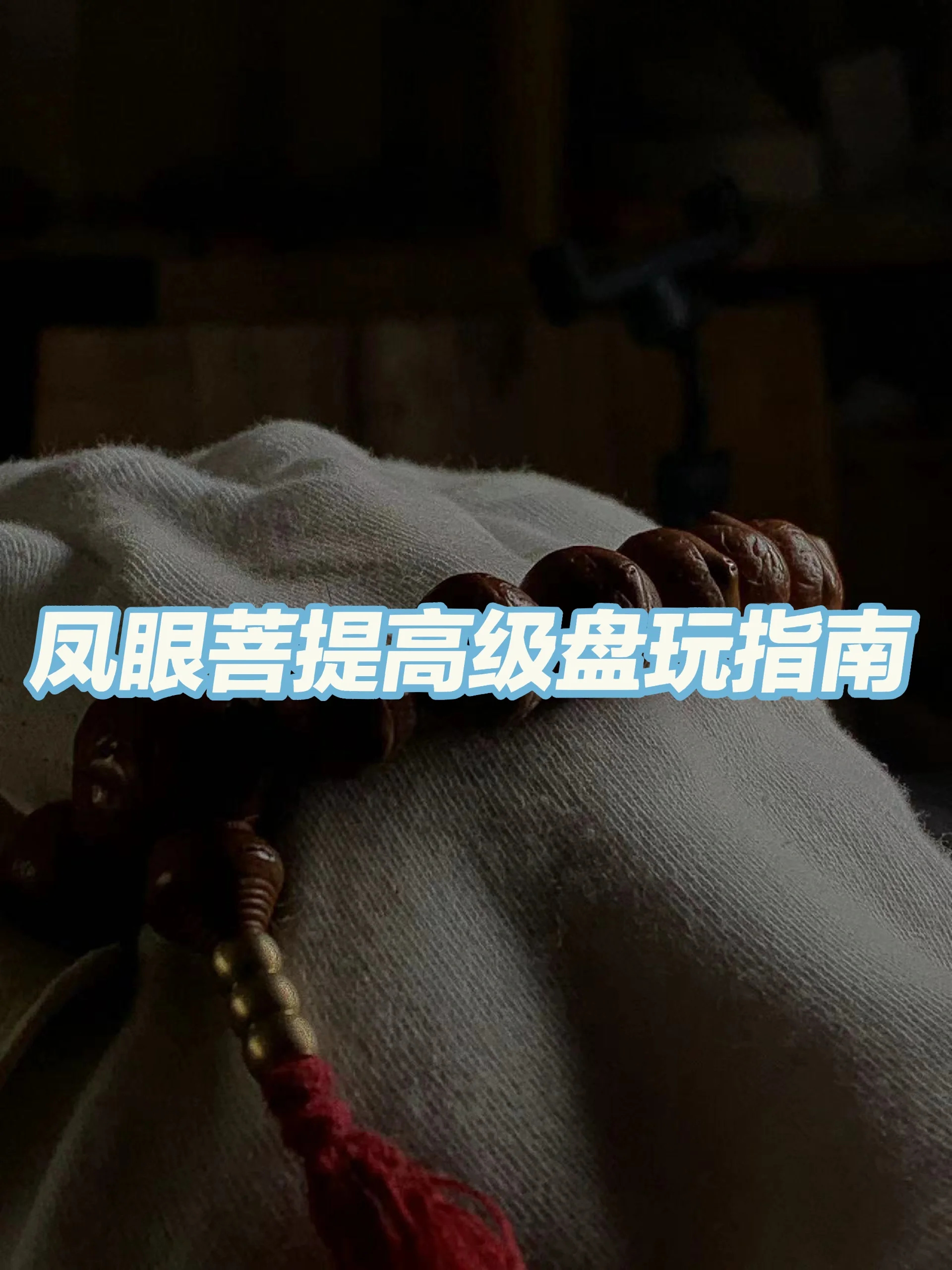 💥凤眼菩提丨高级盘玩指南