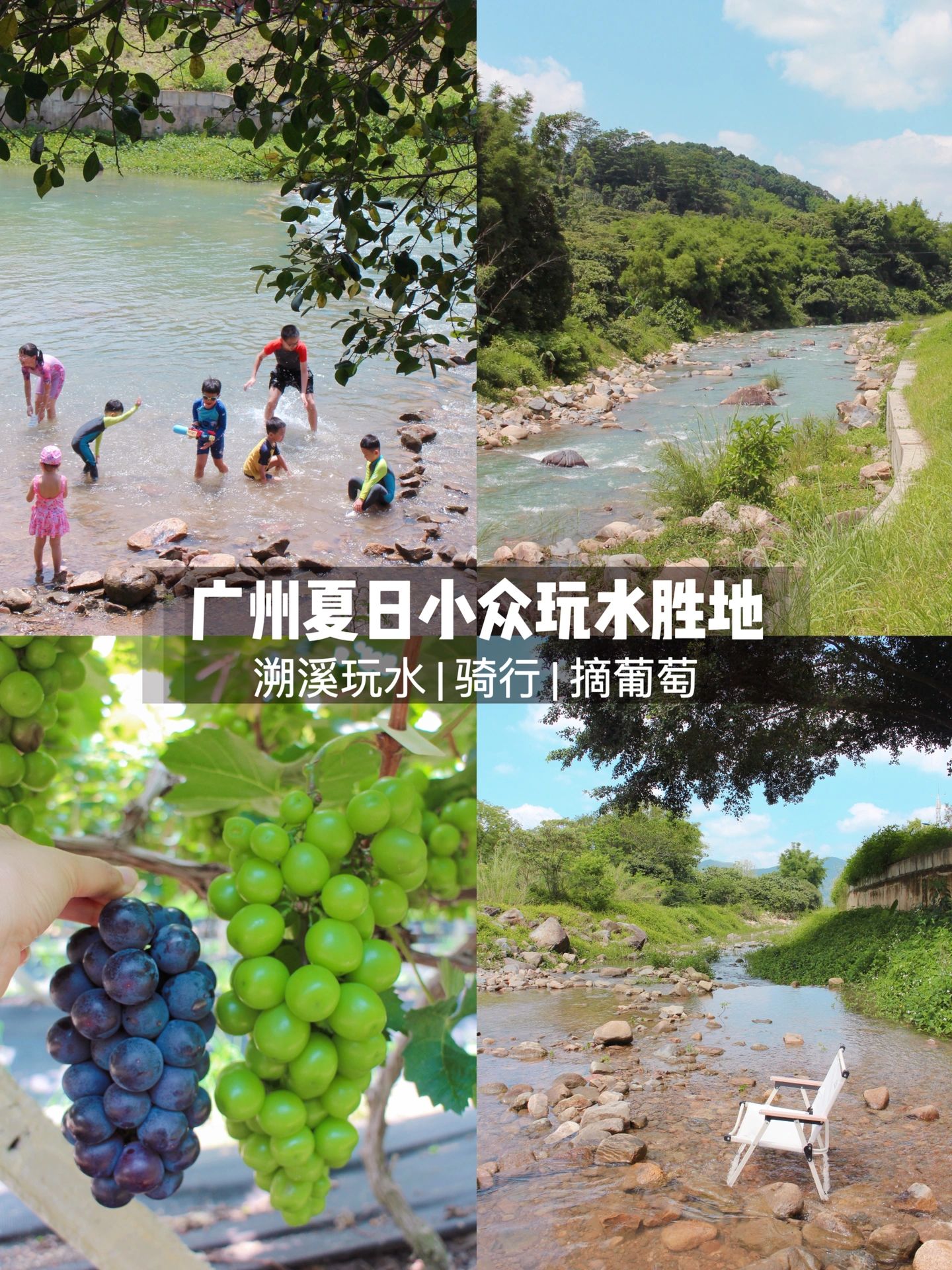 广州免费小众溯溪地|夏日清凉玩水、摘葡萄