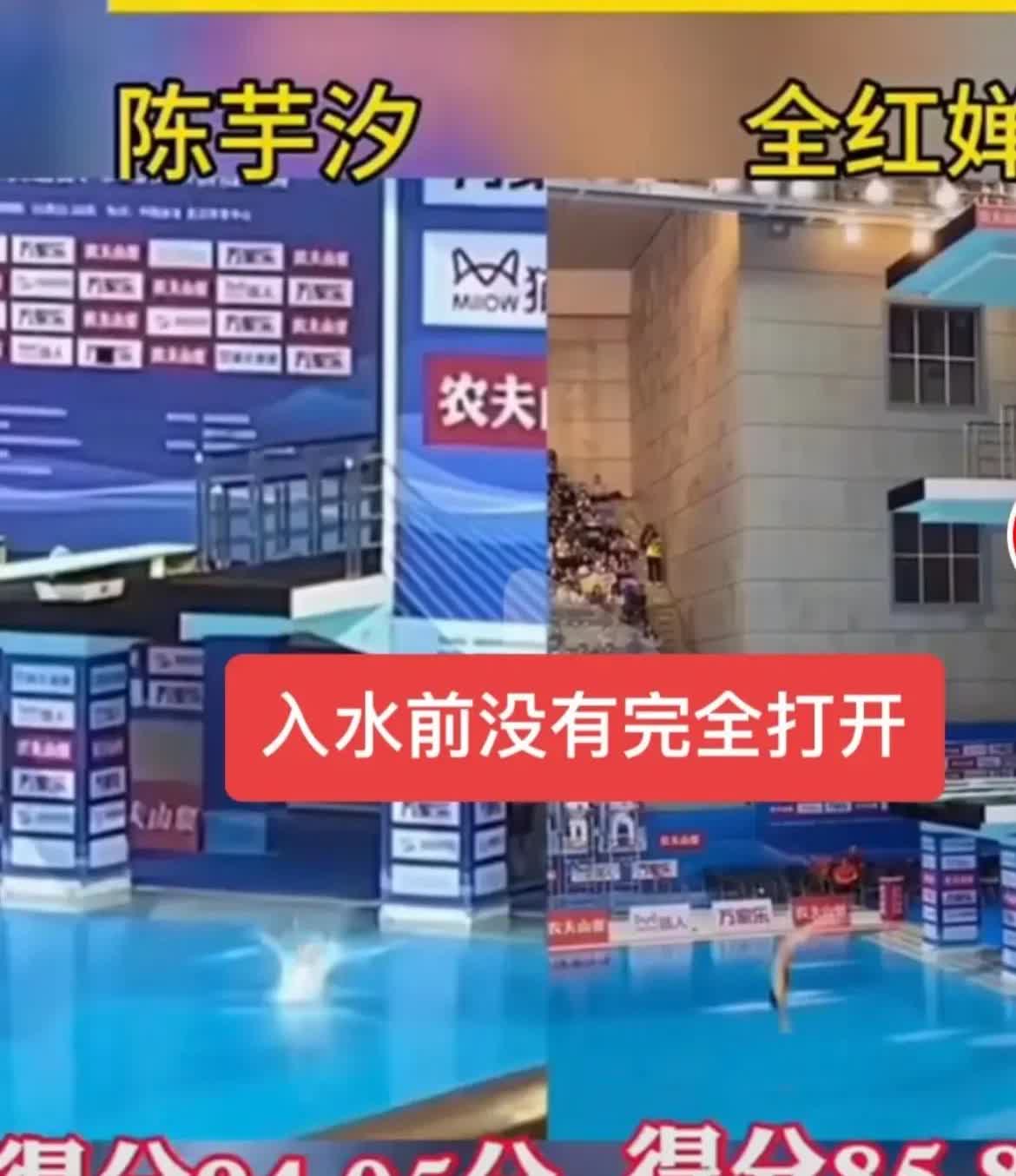 全红婵第四次跳水，七个裁判给出不同的评分：8分、8.5分、8.5分、8.5分、9