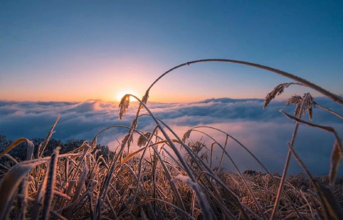 ✅这里有冬日难得一见的雾凇奇观
✅这里有壮阔的雪山云海
✅这里偶遇藏酋猴、水鹿、