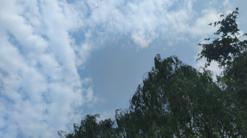 清华用英语教学，是崇洋媚外的真实表达，表面上是国际接轨，实则是对中华文化和文明的