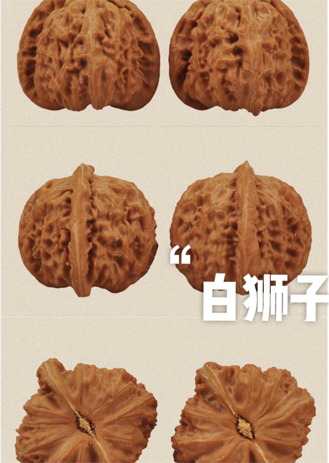 常见核桃品种，大家可以粗略看看，字数限制