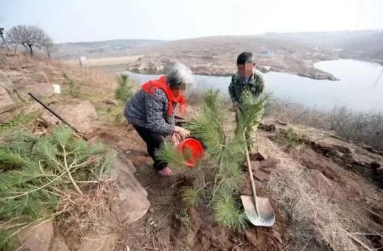 “大快人心！”河南郑州，一男子不顾家人反对承包了250亩荒山。没曾想，他刚把荒山