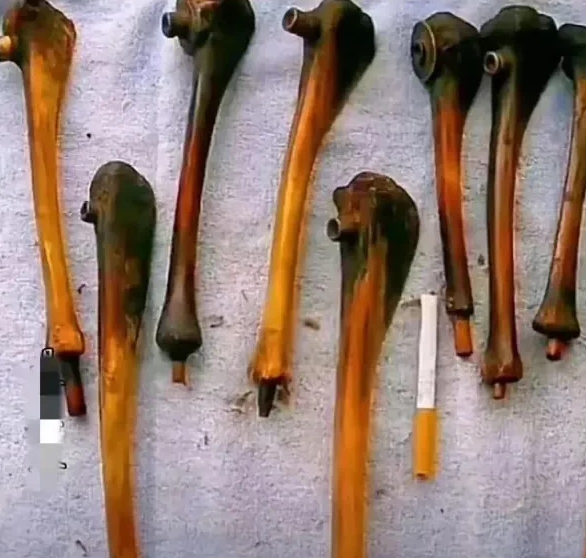 日军侵华“罪证”，用中国婴儿腿骨制成烟斗。

这是保存在南京大屠杀博物馆中的日军