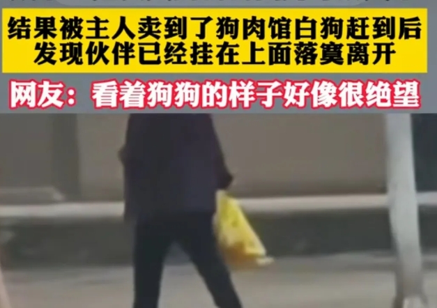 狗肉养殖厂的可以吃，但吃宠物狗的必须得判刑。因为宠物狗与养殖厂的不同