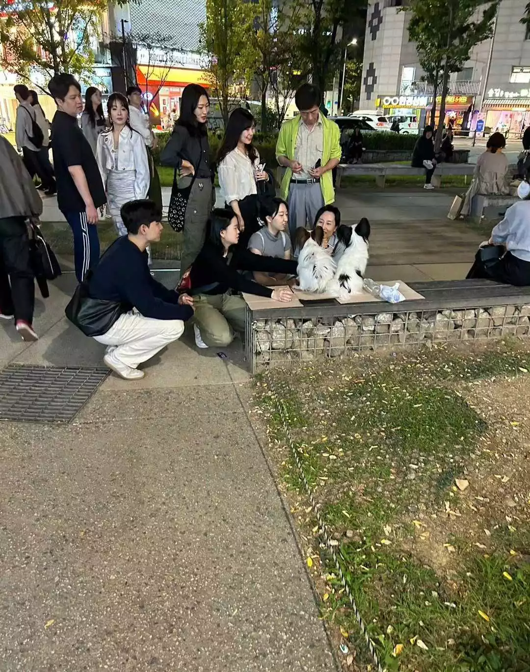 韩国人不爱生孩子后的现状 ​