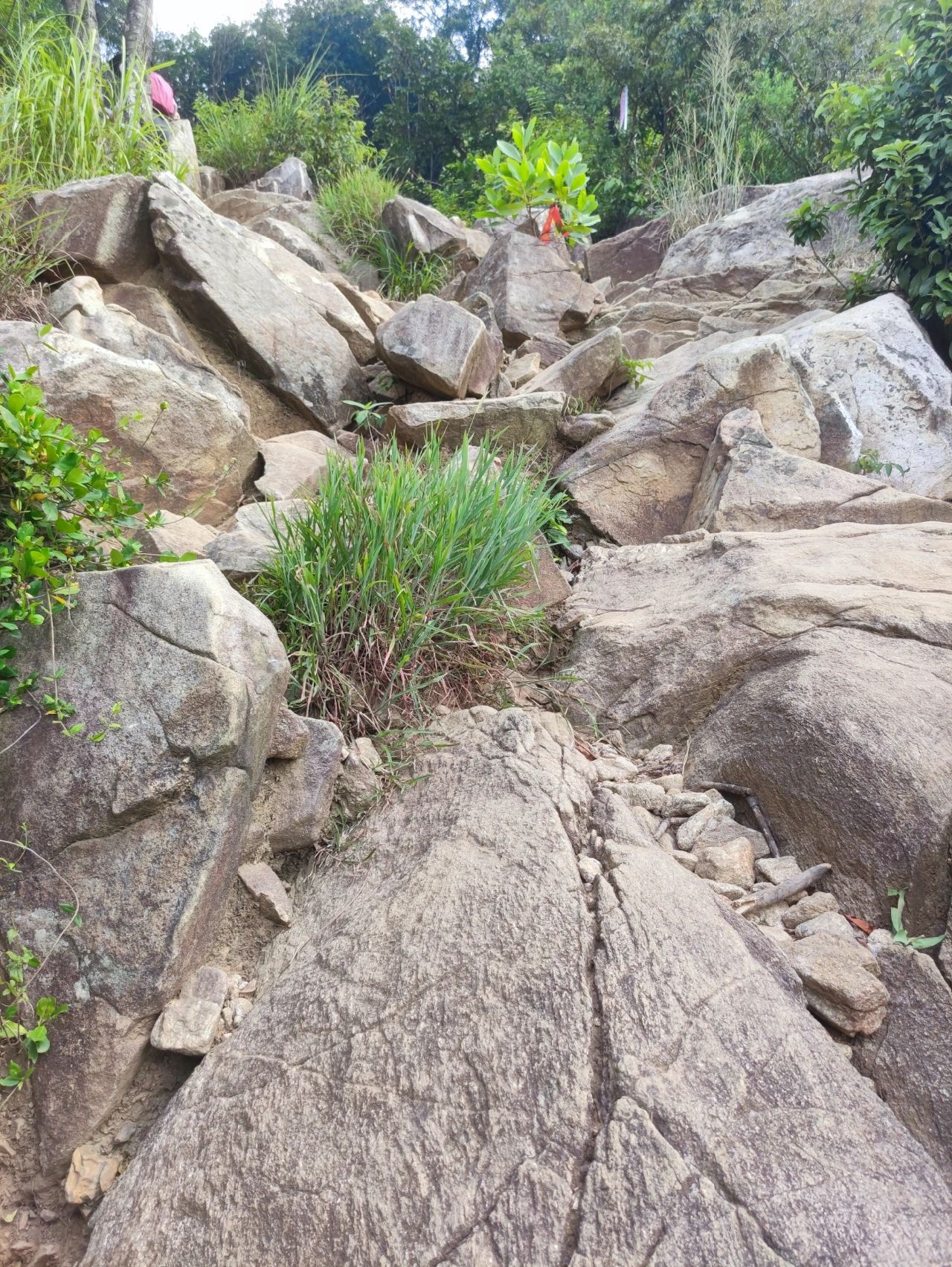 牛木线非常值得推荐！广州市内徒步路线