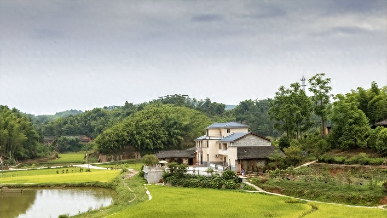 回娘家吃饭，大姐丢钱指责我，母亲怀疑我偷盗，从此断绝往来