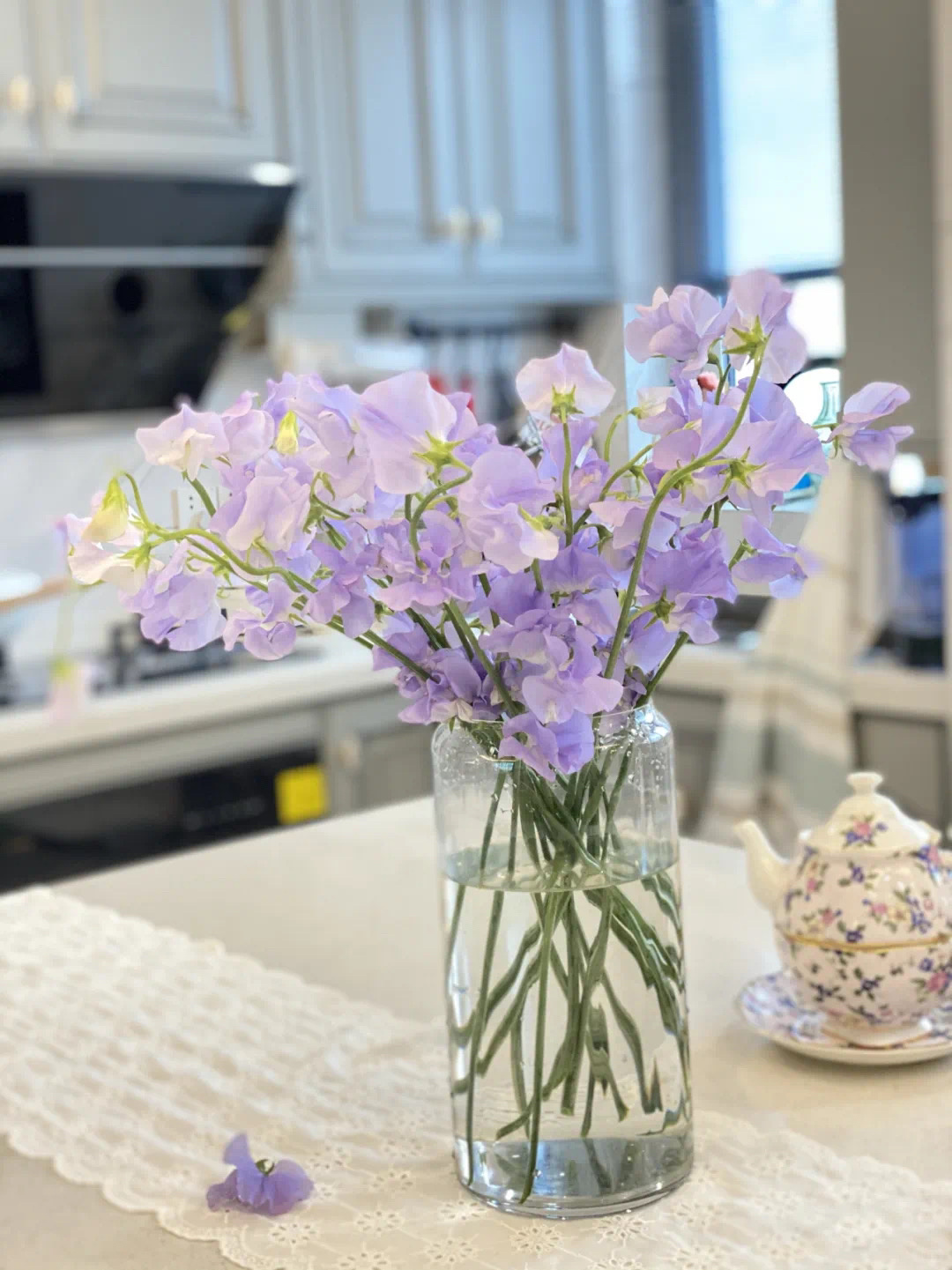 带你识花——香豌豆花
#点缀生活的鲜花
 #笔记灵感
还记得电影千与千寻里面
小