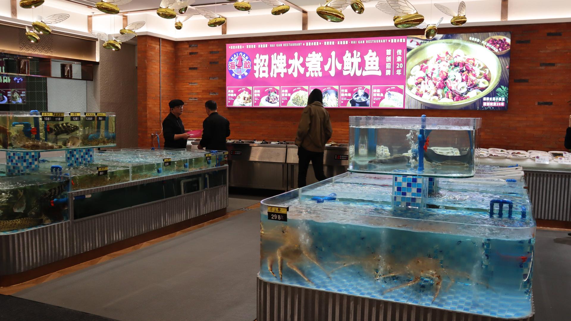 海敢小鱿鱼又开新店了，24年新春不打烊，还有美味新款港式茶点