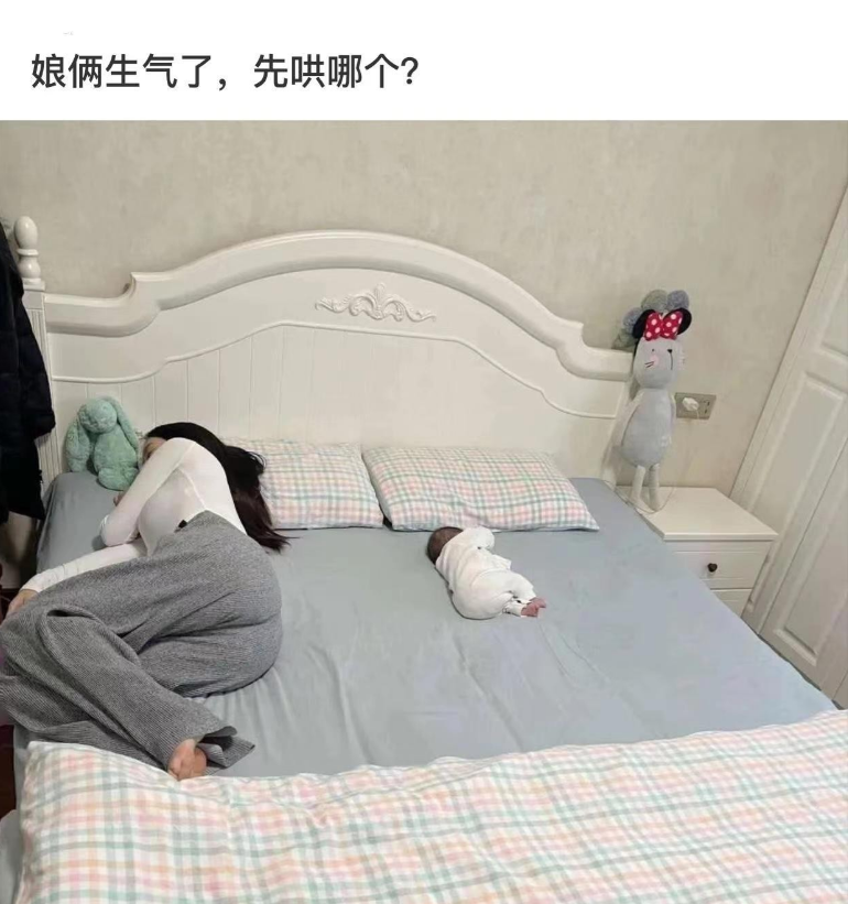 网友一回家就看到如此场景，这是两个人闹不和了？该先哄哪一个