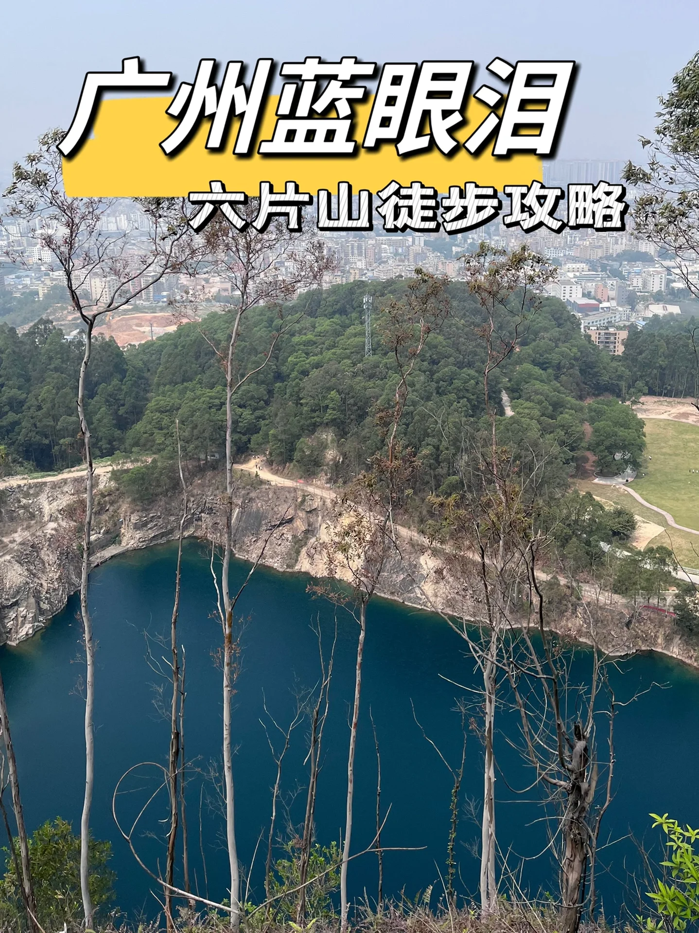 广州蓝眼泪丨1小时登顶！