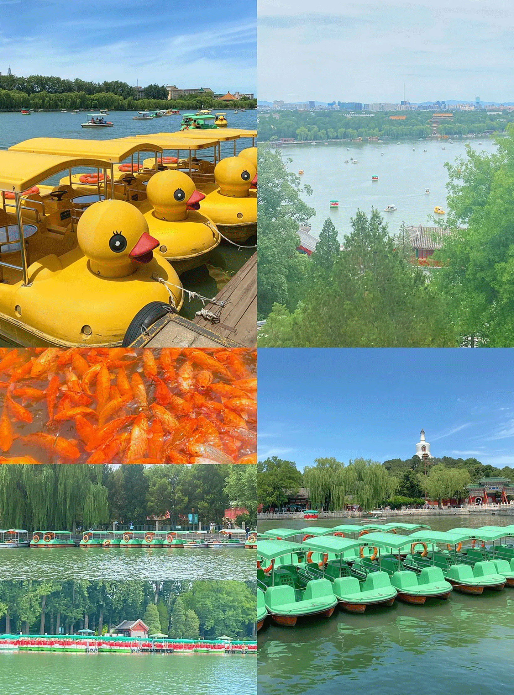 不负夏天美好，来北海公园划船拍照打卡吧！