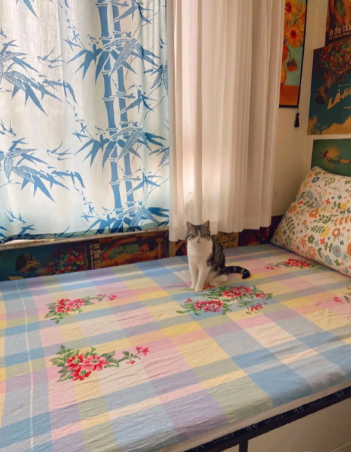 对于普通人家来说，拥有一间干净整洁的居所是一种难得的福气。无论房子大小，只要能够