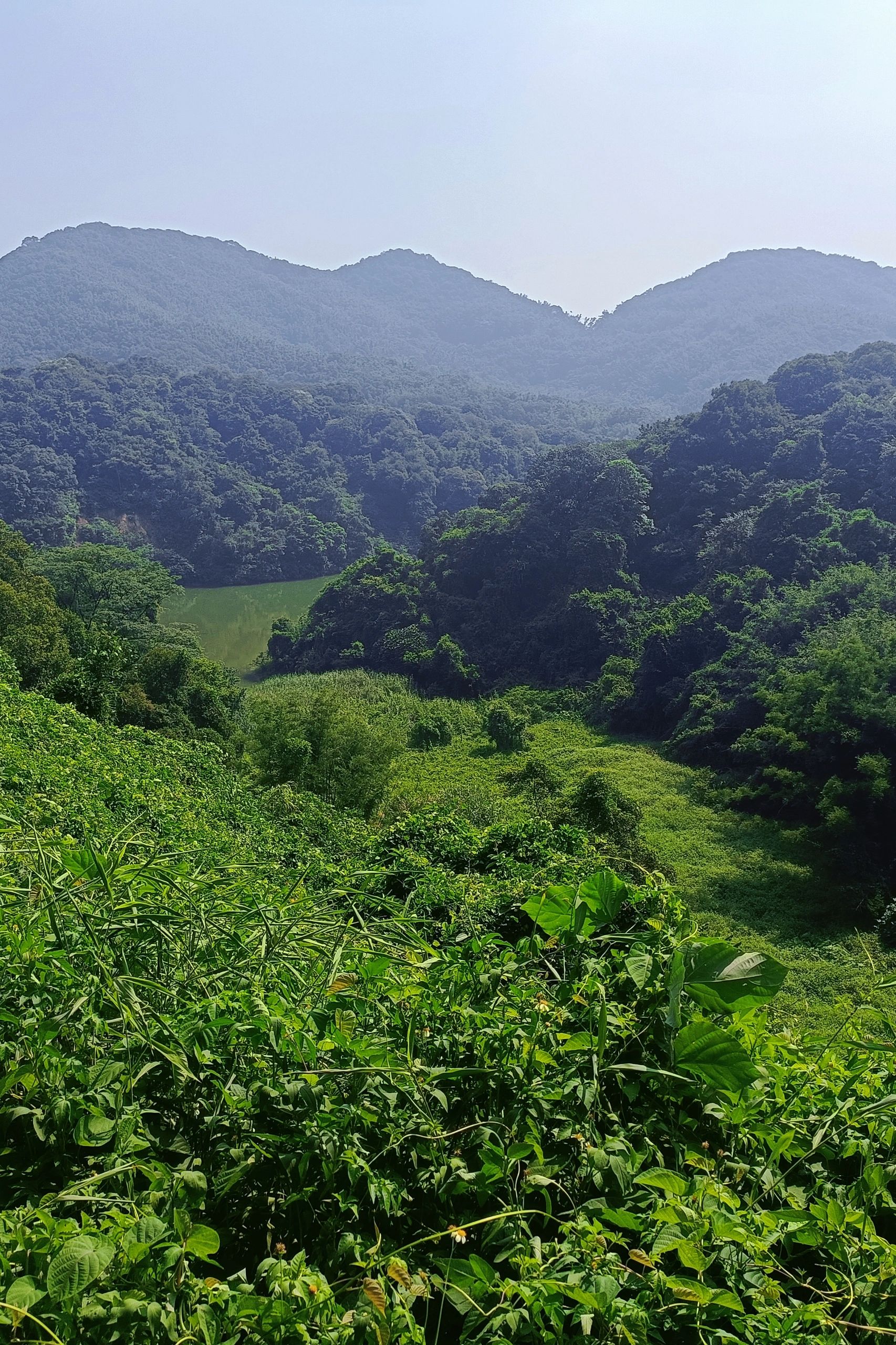 广州长岭徒步，木强水库路线