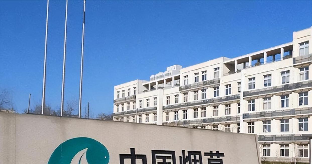 河南烟草招录262人, 应往届生均可报考, 网友: 没资源面试太难了