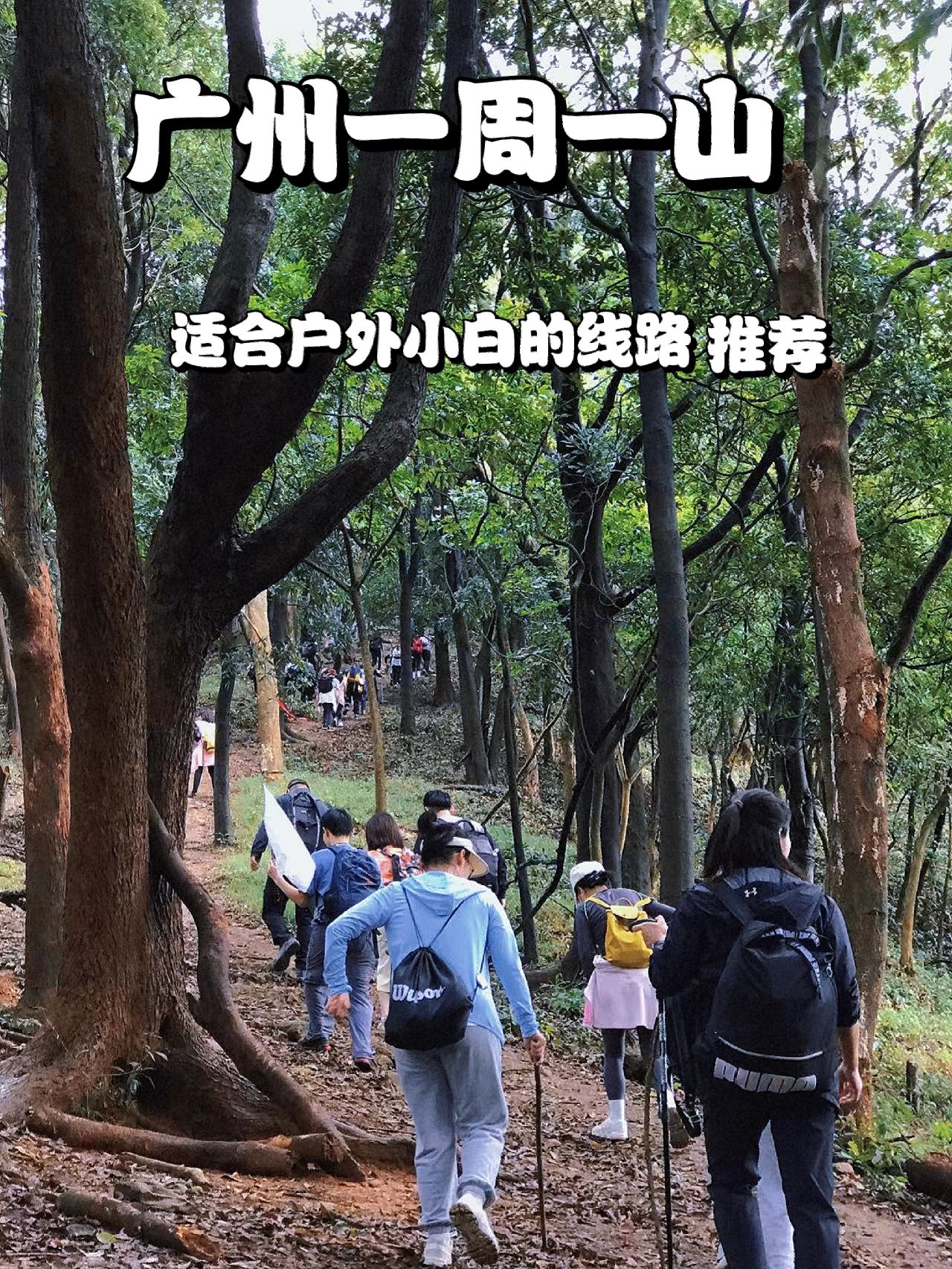 广州爬山🔥这些适合新手小白的经典路线