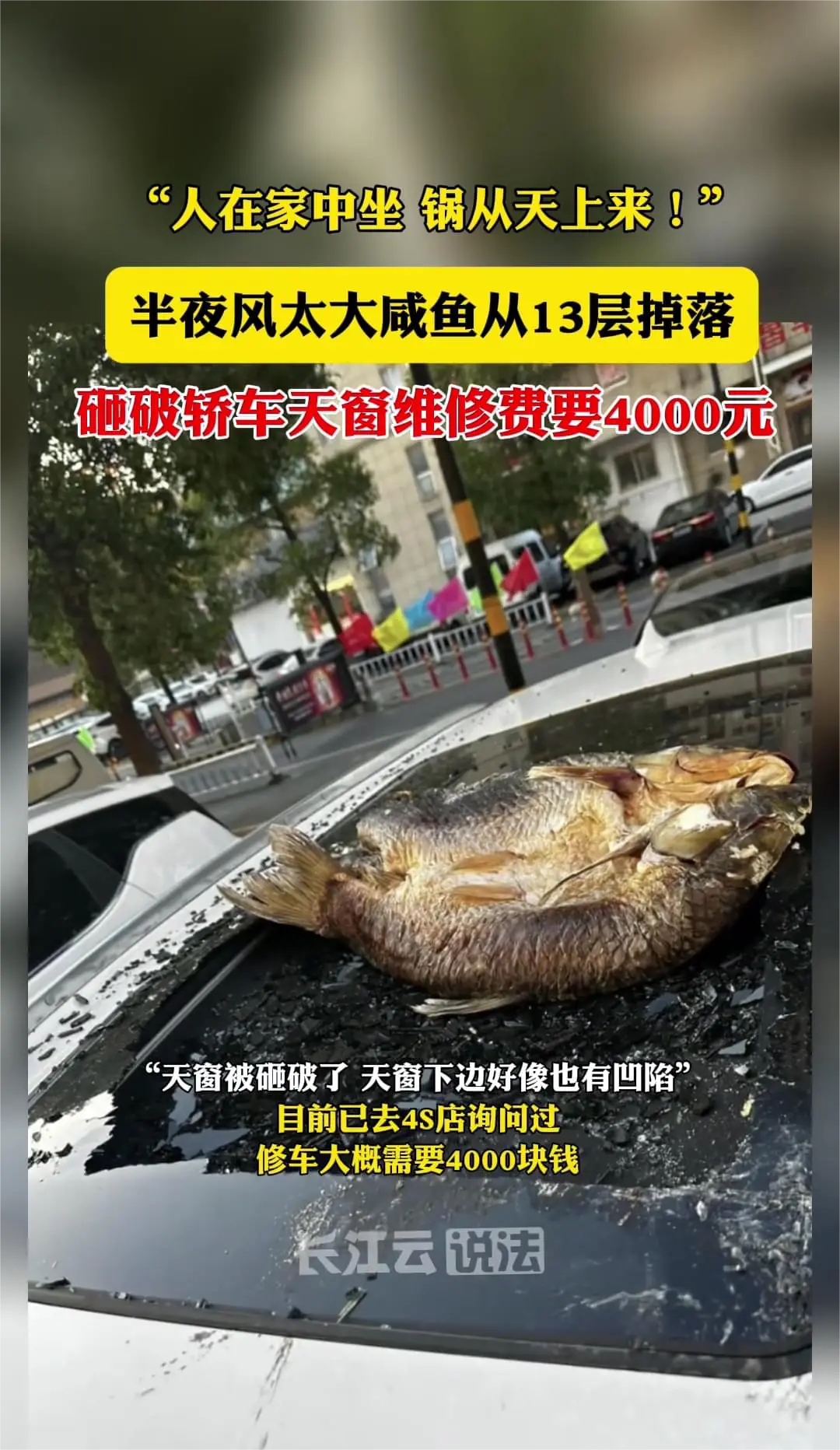 扎到人的话就不止4000了