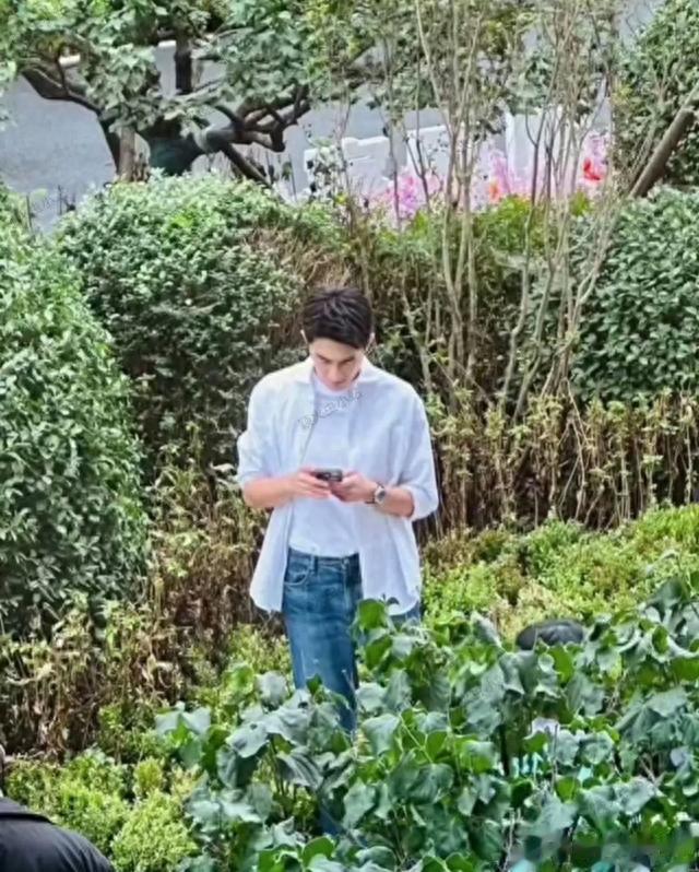 10.5文娱瓜：肖战杨紫龚俊白鹿罗晋李一桐林更新祝绪丹侯明昊艾米