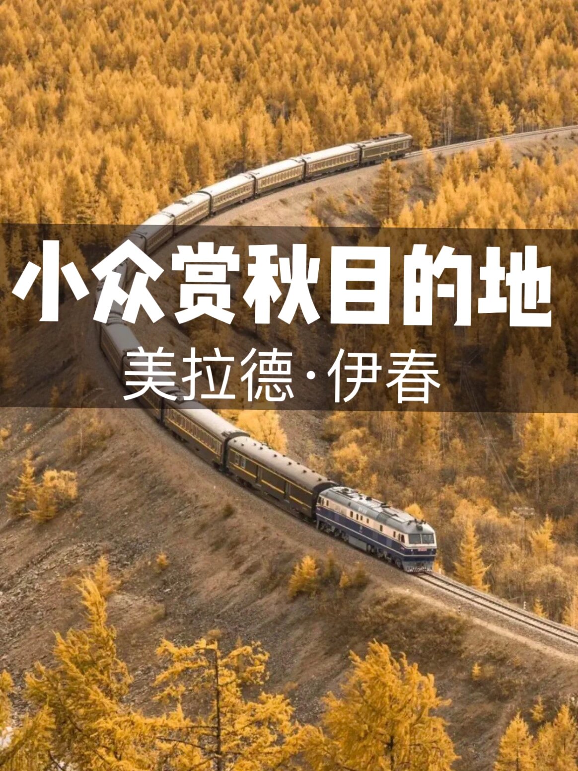 美拉德风赏秋胜地-伊春
