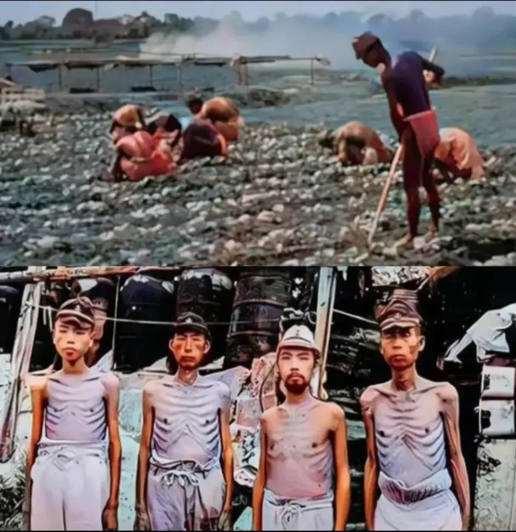 大家有没发现一个惊人的巧合：每当日本人又叨叨俄罗斯的北方四岛时，俄媒体上总会出这