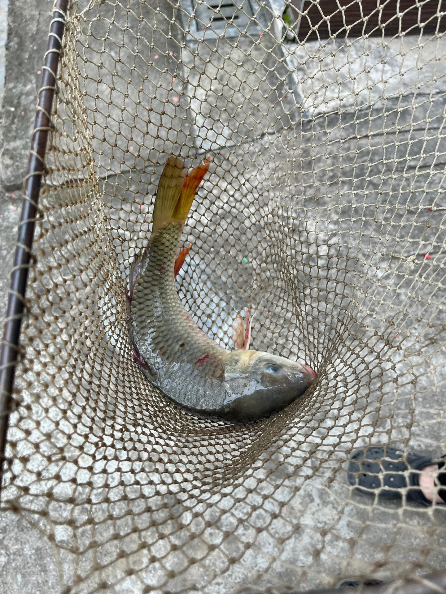 佛山野钓地点推荐，金牌🥇钓位