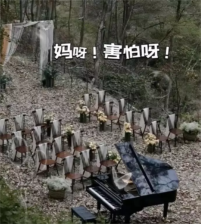 没那条件就别学国外的草坪婚礼了，就挺让人害怕的… ​