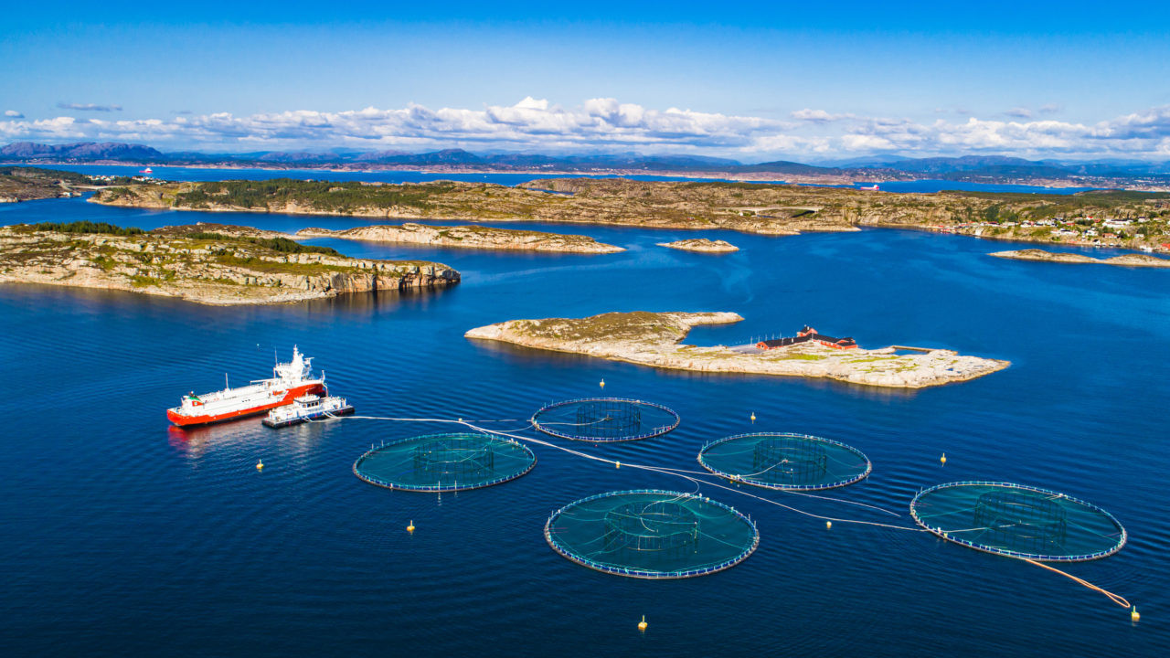 什么是《联合国公海条约》，为什么需要它？