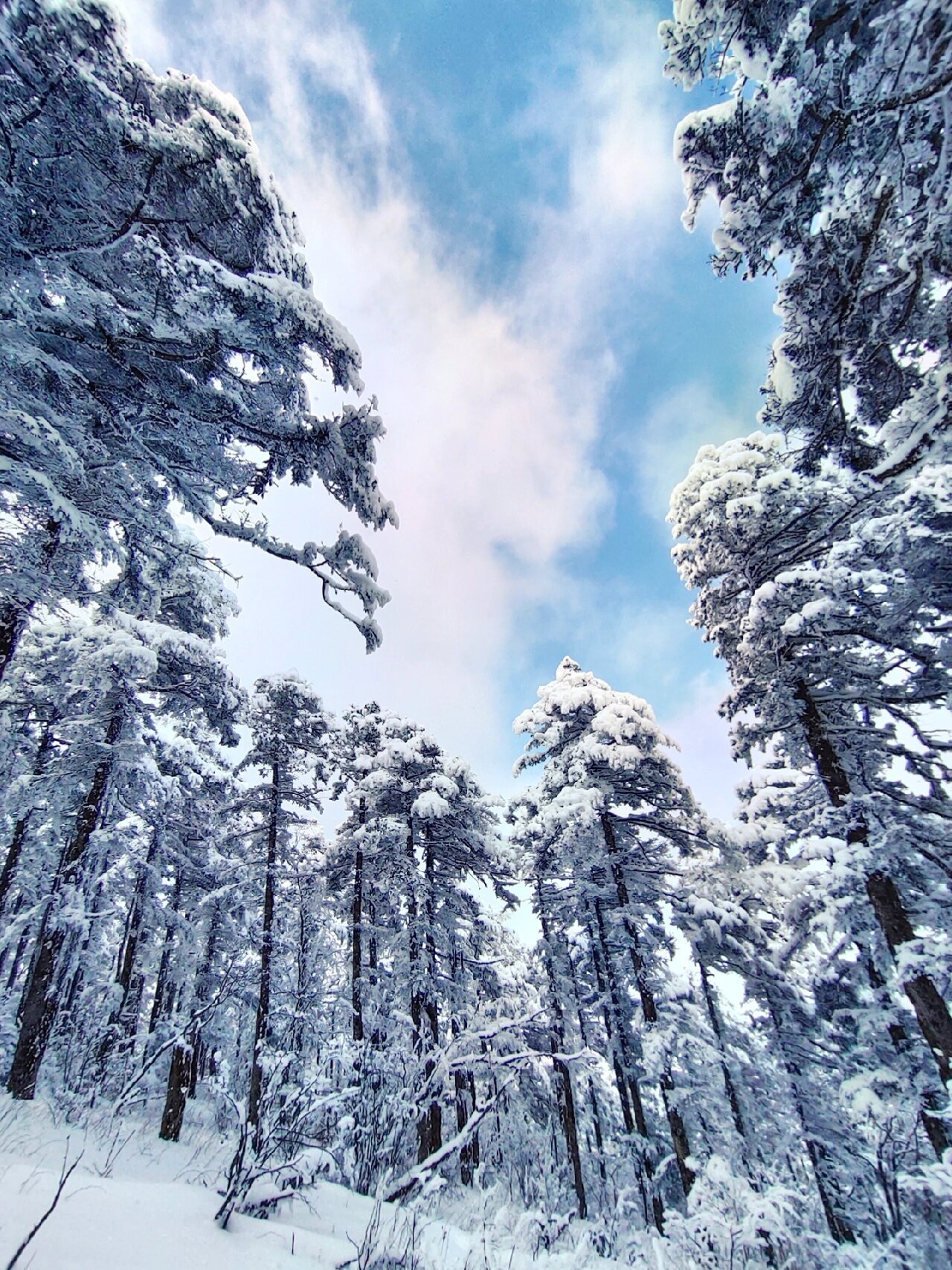 西安周边玩雪、赏雪合集❗️不好看算我输